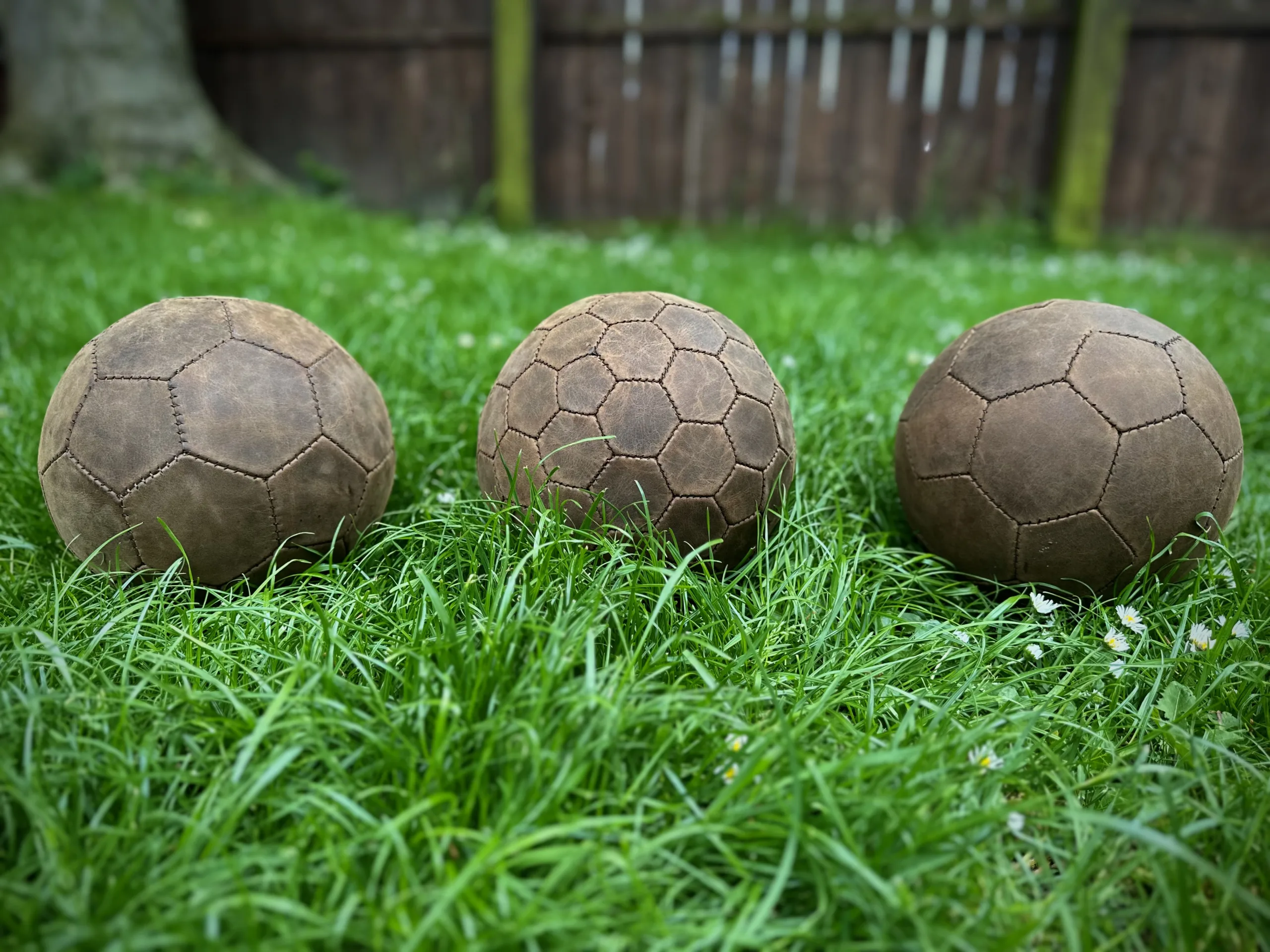 Three handmade leather footballs placed on a grassy lawn with a wooden fence in the background.