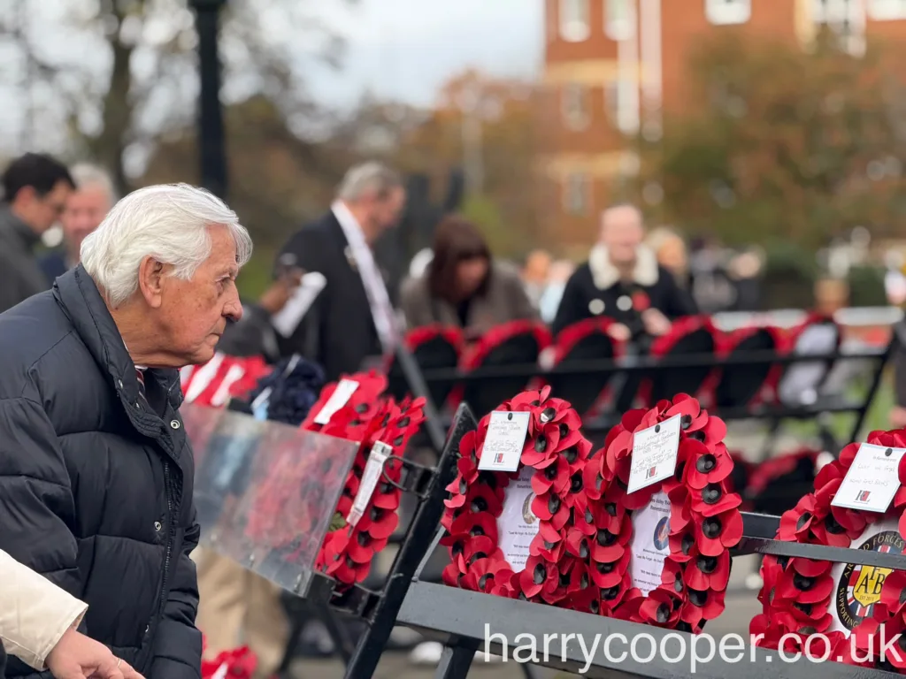 An elderly man gazes at red poppy wreaths laid on metal stands at the cenotaph, symbolising remembrance.